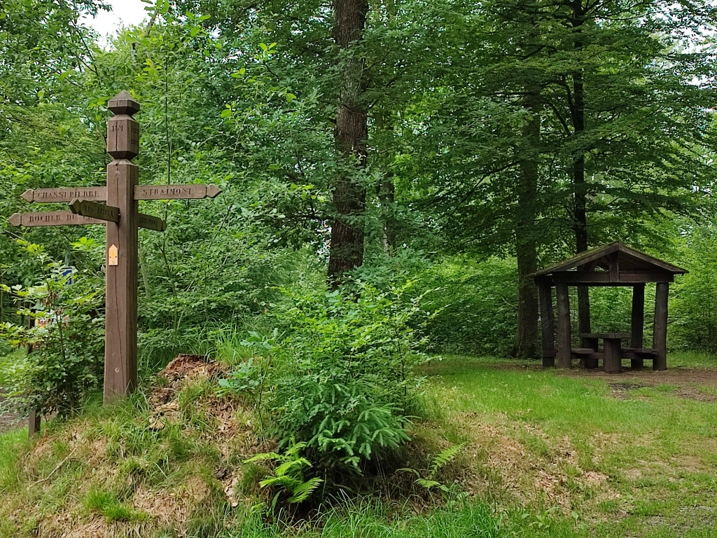 Forêt d’Herbeumont-Sud